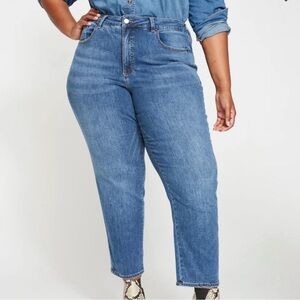 NWT Dylan High Rise Tapered Jeans 29 Inch - Classic Washed Blue size 22